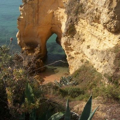 澳门新莆京游戏大厅app下载截图