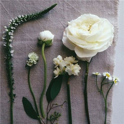 澳门2023全年免费资料大全手机app下载